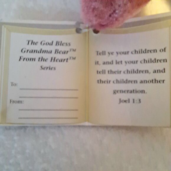 HolyBears From The Heart Series God Bless Grandma Bear Beanie Plush Toy 2000 - Picture 11 of 12